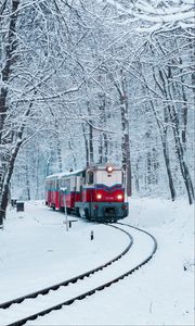 Preview wallpaper train, railway, snow, forest