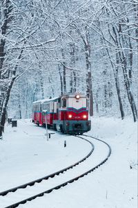 Preview wallpaper train, railway, snow, forest