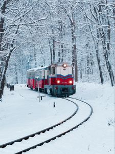 Preview wallpaper train, railway, snow, forest