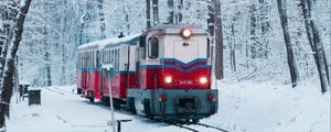 Preview wallpaper train, railway, snow, forest