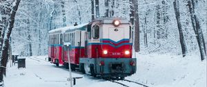 Preview wallpaper train, railway, snow, forest