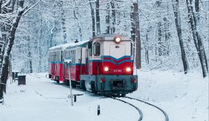 Preview wallpaper train, railway, snow, forest