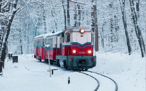 Preview wallpaper train, railway, snow, forest