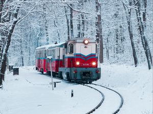 Preview wallpaper train, railway, snow, forest