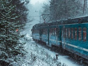 Preview wallpaper train, snow, forest, winter