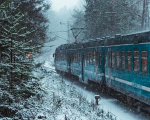 Preview wallpaper train, snow, forest, winter