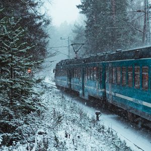 Preview wallpaper train, snow, forest, winter