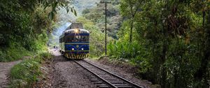 Preview wallpaper train, trees, forest, railway