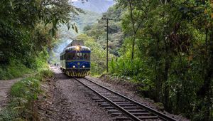 Preview wallpaper train, trees, forest, railway