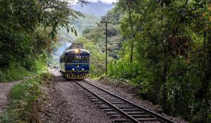 Preview wallpaper train, trees, forest, railway