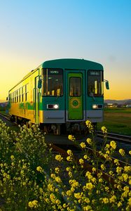 Preview wallpaper train, wagon, railway, flowers, yellow