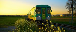 Preview wallpaper train, wagon, railway, flowers, yellow