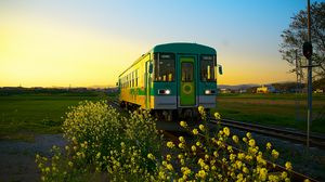 Preview wallpaper train, wagon, railway, flowers, yellow