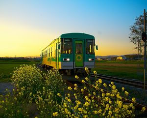 Preview wallpaper train, wagon, railway, flowers, yellow