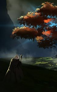 Preview wallpaper traveler, cloak, nature, art