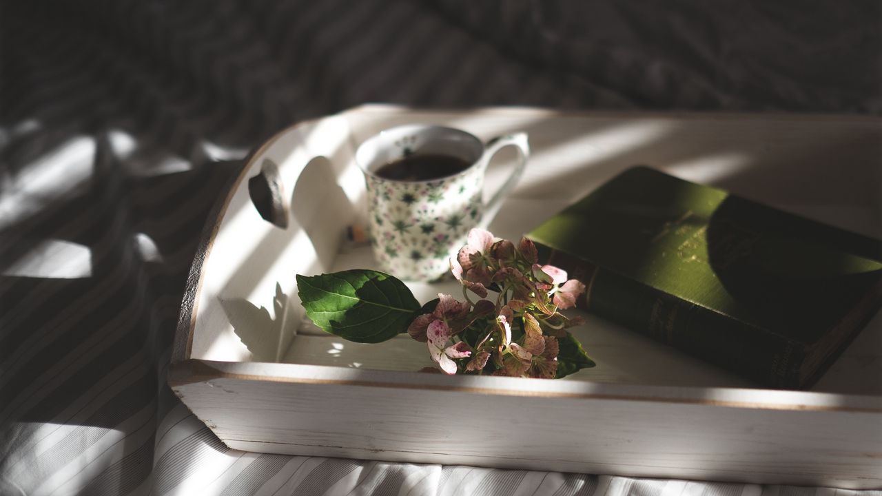 Wallpaper tray, book, cup, flower, bed, morning