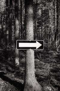 Preview wallpaper tree, arrow, pointer, forest, black and white