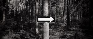 Preview wallpaper tree, arrow, pointer, forest, black and white