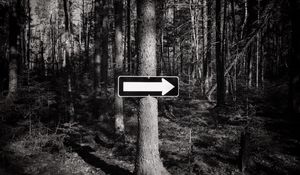 Preview wallpaper tree, arrow, pointer, forest, black and white