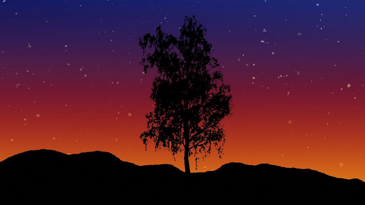 Wallpaper tree, art, lonely, vector, starry sky