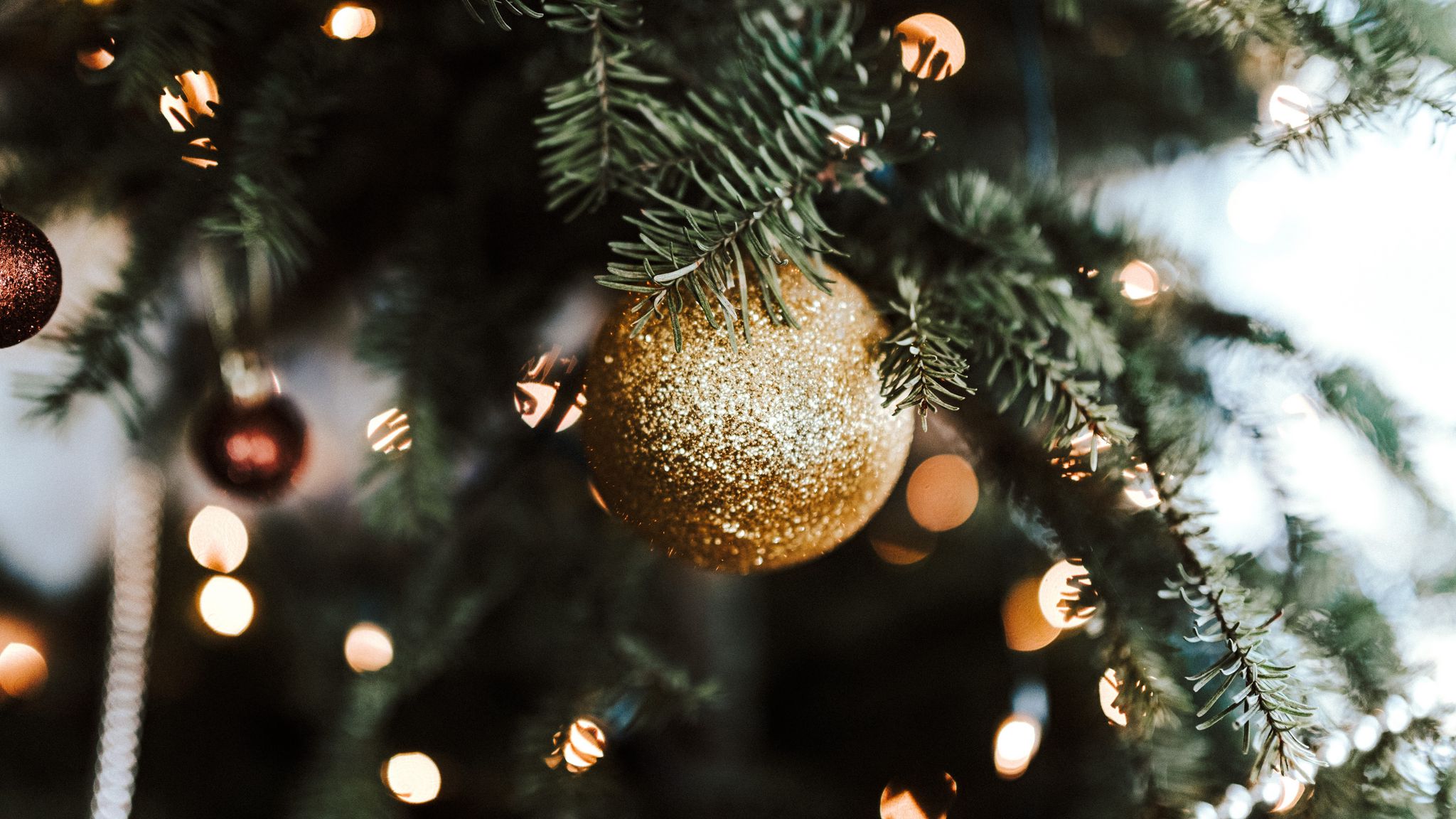 Mùa Giáng Sinh đang đến gần, hãy cùng nhau trang trí cho căn nhà của bạn thật đẹp và lung linh. Những hình ảnh trang trí Giáng Sinh sẽ giúp bạn có nhiều ý tưởng để thực hiện và mang đến không gian ấm áp và đầy vui tươi trong mùa lễ này.