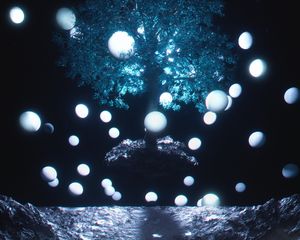 Preview wallpaper tree, balls, levitation, glow, darkness