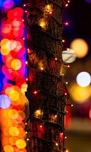 Preview wallpaper tree, bark, garland, bokeh, colorful, holiday