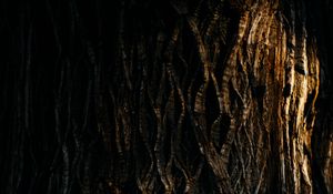 Preview wallpaper tree, bark, relief, texture, shadow, dark