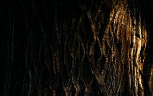 Preview wallpaper tree, bark, relief, texture, shadow, dark