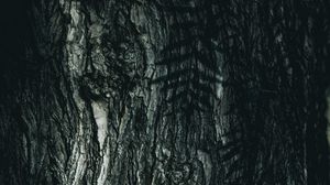 Preview wallpaper tree, bark, rough, texture