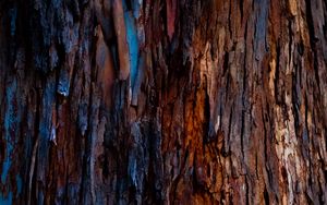 Preview wallpaper tree, bark, texture