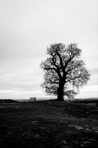 Preview wallpaper tree, bench, bw, horizon