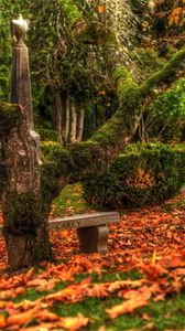 Preview wallpaper tree, bench, leaves