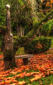 Preview wallpaper tree, bench, leaves