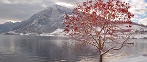 Preview wallpaper tree, bench, leaves, autumn, october, freezing, mountain, lake