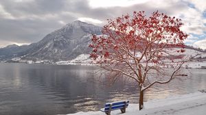 Preview wallpaper tree, bench, leaves, autumn, october, freezing, mountain, lake