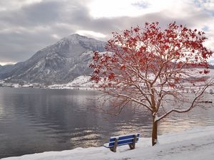 Preview wallpaper tree, bench, leaves, autumn, october, freezing, mountain, lake