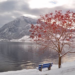 Preview wallpaper tree, bench, leaves, autumn, october, freezing, mountain, lake