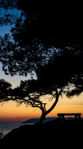 Preview wallpaper tree, bench, silhouettes, sea, twilight