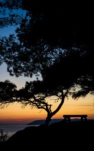 Preview wallpaper tree, bench, silhouettes, sea, twilight