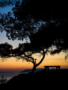 Preview wallpaper tree, bench, silhouettes, sea, twilight