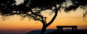 Preview wallpaper tree, bench, silhouettes, sea, twilight