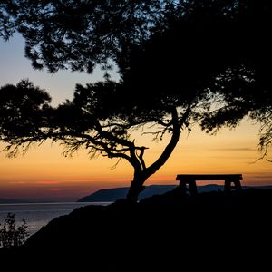 Preview wallpaper tree, bench, silhouettes, sea, twilight