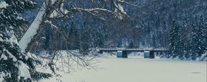 Preview wallpaper tree, bench, snow, winter, nature