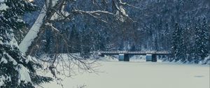 Preview wallpaper tree, bench, snow, winter, nature