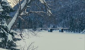 Preview wallpaper tree, bench, snow, winter, nature