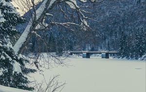 Preview wallpaper tree, bench, snow, winter, nature