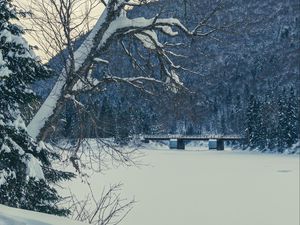 Preview wallpaper tree, bench, snow, winter, nature