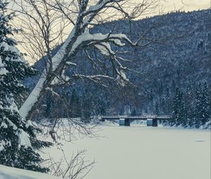 Preview wallpaper tree, bench, snow, winter, nature