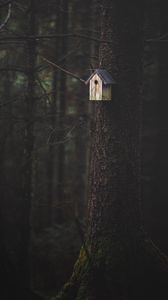 Preview wallpaper tree, birdhouse, forest, nature